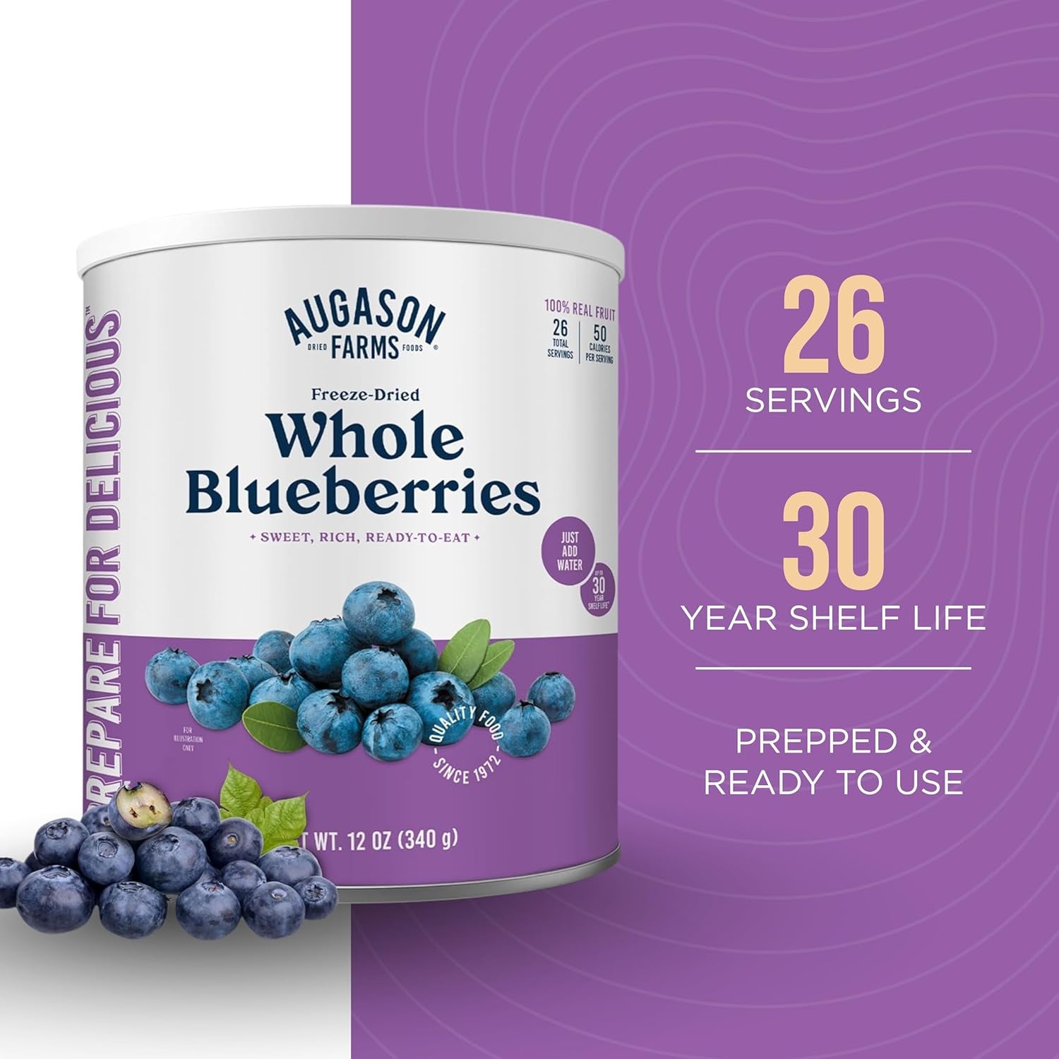Freeze-Dried Whole Blueberries Emergency Food Supply, 26 Servings, 30 Year Shelf Life, Great for Cooking, Baking, and Snacks - Dehydrated Meals, Survival Food Camping Essentials Can